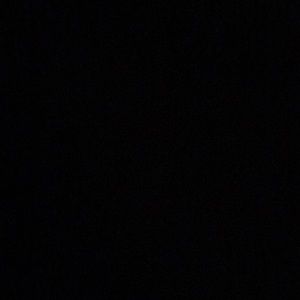 Meet your Posher, Jamison